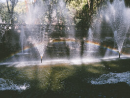 ZeitMagazin Mann CDMX 